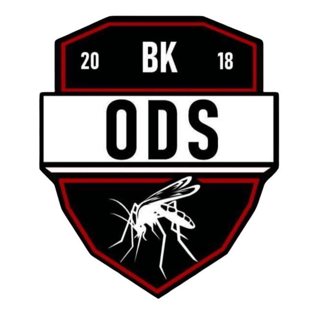 BK Odi